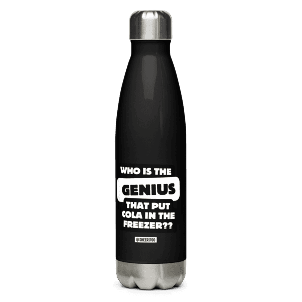 Stainless steel water bottle